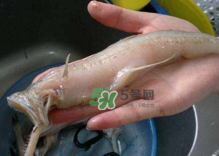 水潺湯怎么做？水潺燉豆腐的做法