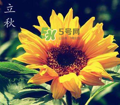 立秋后是不是早晚天氣涼？立秋后天氣有什么變化？