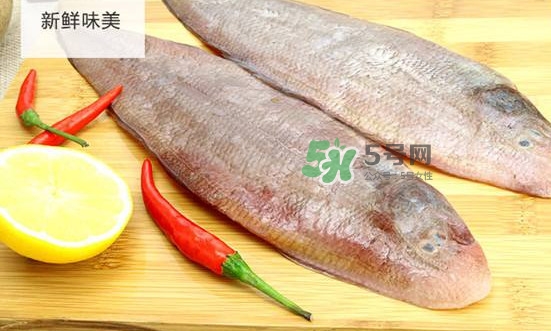 龍利魚(yú)多少錢(qián)一斤？龍利魚(yú)是什么魚(yú)