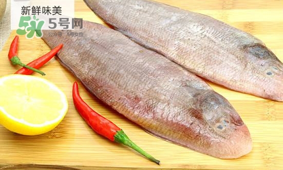 龍利魚怎么挑選？龍利魚與越南巴沙魚的區(qū)別