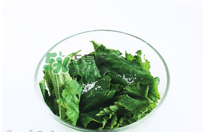 南瓜苗怎么做好吃？南瓜苗怎么撕？