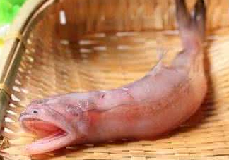 龍頭魚身是什么神獸？龍頭魚身是什么寓意