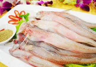 龍頭魚(yú)孕婦可以吃嗎？孕婦能吃龍頭魚(yú)嗎