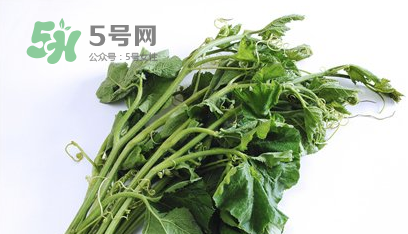 南瓜苗怎么做好吃？南瓜苗怎么撕？