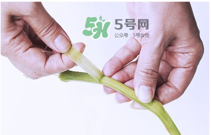 南瓜苗怎么做好吃？南瓜苗怎么撕？