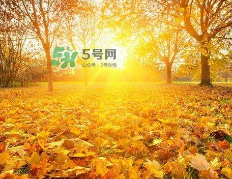 立秋后吃什么好？立秋后怎么養(yǎng)生？