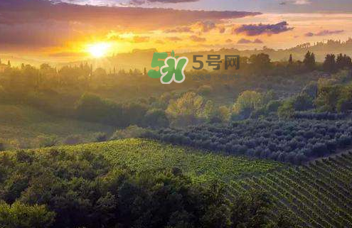 立秋后吃什么好？立秋后怎么養(yǎng)生？