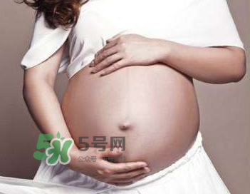四維彩超的最佳時(shí)間 四維彩超什么時(shí)候做最好？