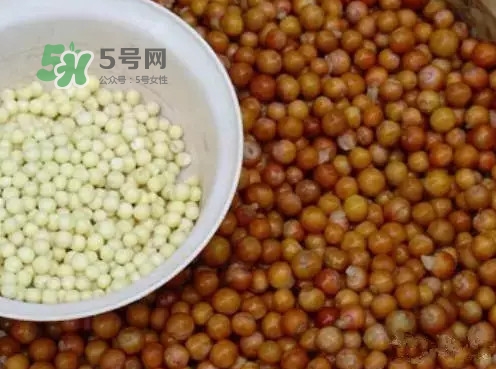 雞頭米有什么營養(yǎng)價(jià)值？雞頭米的功效與作用