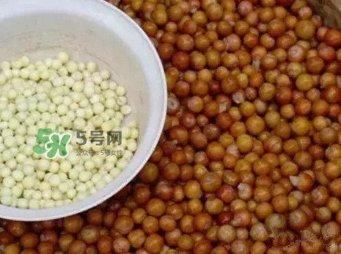 雞頭米一次吃多少合適？雞頭米可以多吃嗎