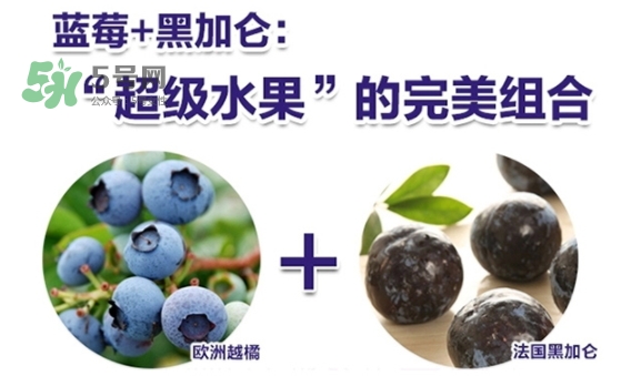 fancl藍(lán)莓護(hù)眼怎么樣？fancl藍(lán)莓護(hù)眼和pola護(hù)眼哪個好