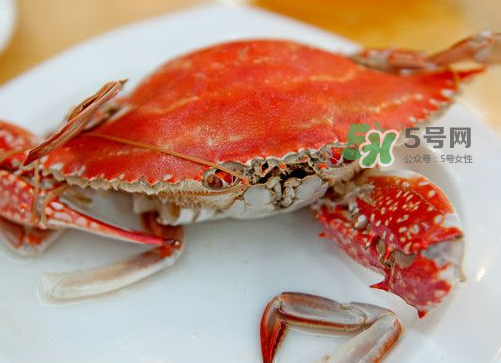 梭子蟹可以清蒸嗎？梭子蟹蒸還是煮？