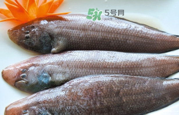 龍利魚怎么做給寶寶吃？龍利魚怎么處理