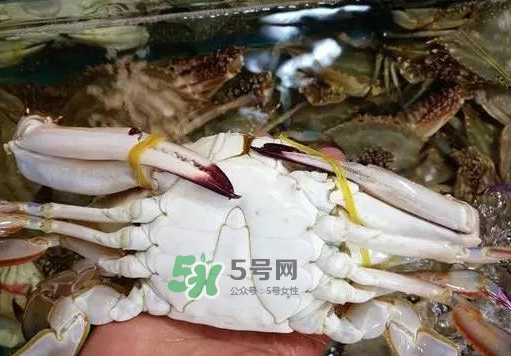 梭子蟹放冷藏還是冷凍？梭子蟹可以放速凍嗎？