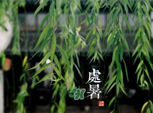 2017處暑還熱嗎？2017處暑后天氣還熱嗎？