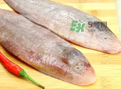 寶寶多大能吃龍利魚？幾個月的寶寶可以吃龍利魚