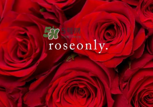 2017七夕禮盒roseonly多少錢？roseonly巨型玫瑰禮盒多少錢？