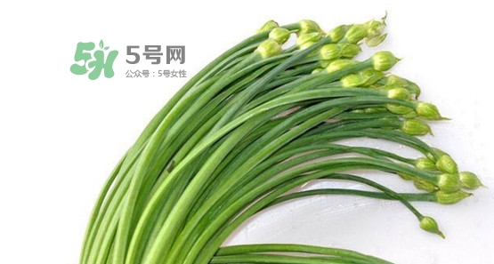 韭菜苔孕婦能吃嗎？孕婦可以吃韭菜苔嗎