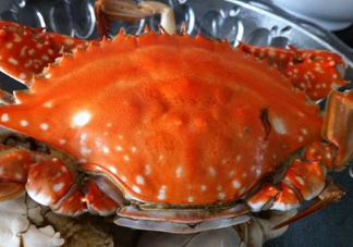 梭子蟹可以清蒸嗎？梭子蟹蒸還是煮？