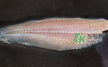 龍利魚是淡水魚嗎？龍利魚是巴沙魚嗎