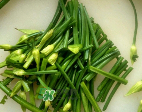 韭菜苔孕婦能吃嗎？孕婦可以吃韭菜苔嗎