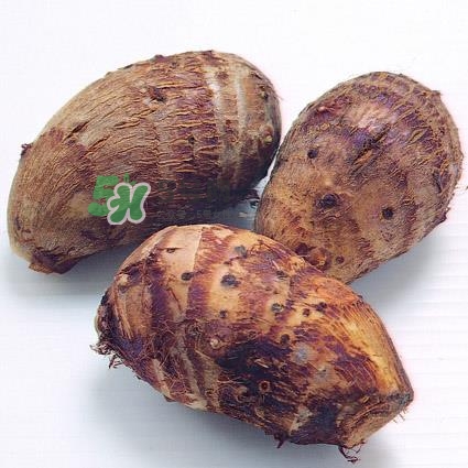 中秋節(jié)為什么吃芋頭？中秋節(jié)吃芋頭的來源