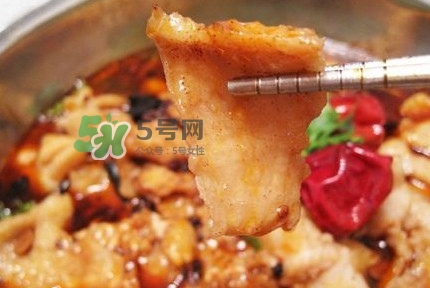 龍利魚有刺嗎？龍利魚有魚鱗嗎