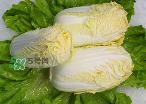 娃娃菜可以放冰箱嗎？娃娃菜可以放多久