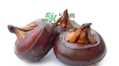 野荸薺怎么吃？野荸薺的食用功效