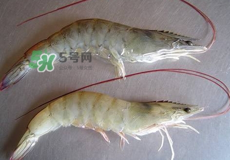 太湖白蝦多少錢一斤？太湖白蝦干多少錢一斤