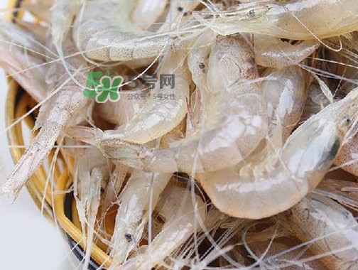 白蝦是河蝦還是海蝦？白蝦是寒性的嗎