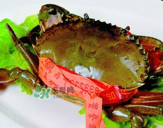 青蟹能放幾天？青蟹能活多久？