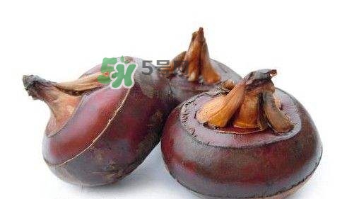 吃荸薺有什么好處？吃荸薺的禁忌