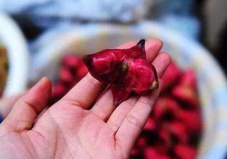 紅菱怎么吃？吃紅菱有什么好處？