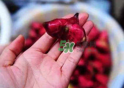 紅菱怎么吃？吃紅菱有什么好處？