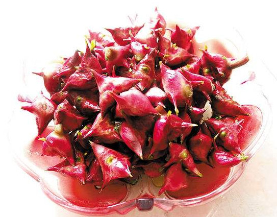 紅菱多少錢(qián)一斤？菱角嫩的好吃還是老的好吃？