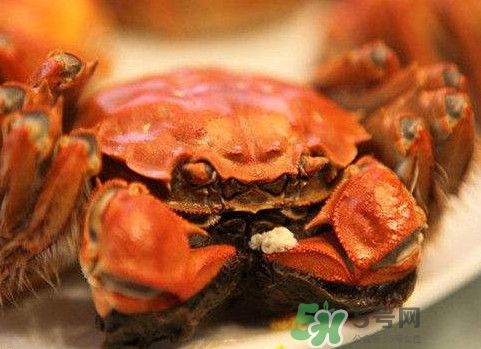 太湖蟹什么時候上市？太湖蟹幾月份有