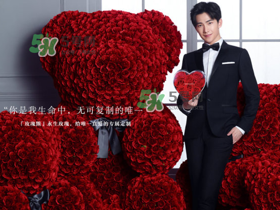 roseonly熊怎么樣？roseonly玫瑰熊好看嗎？