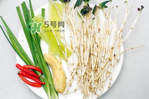 魚(yú)腥草用開(kāi)水泡可以嗎？魚(yú)腥草用量多少克？