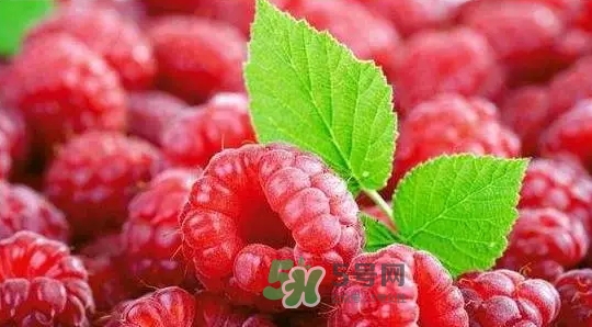 pola莓果酵素怎么吃？pola紅莓酵素怎么樣？