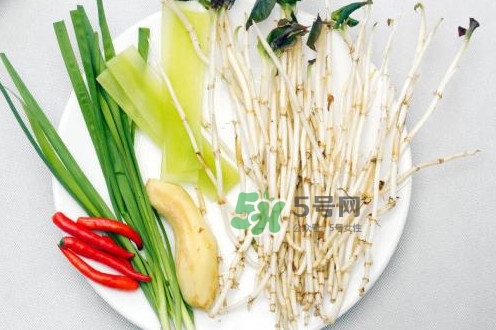魚腥草什么季節(jié)有？魚腥草什么時(shí)候采摘最好