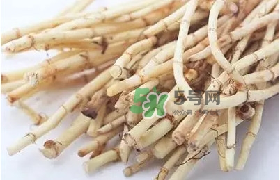 魚腥草什么季節(jié)吃最好？魚腥草什么時候吃最好