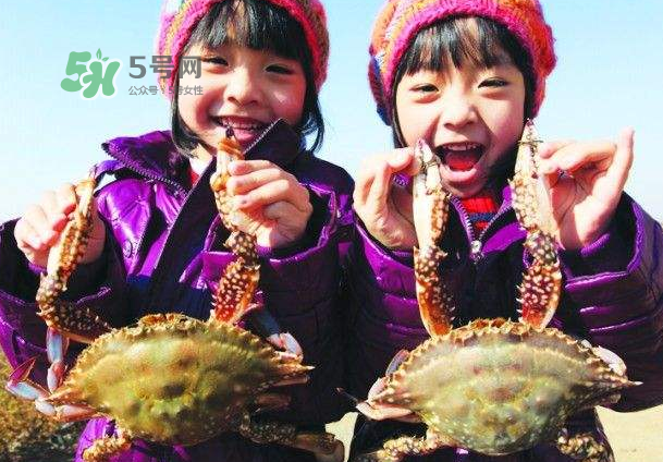 青島梭子蟹多少錢一斤？青島梭子蟹什么時候上市？