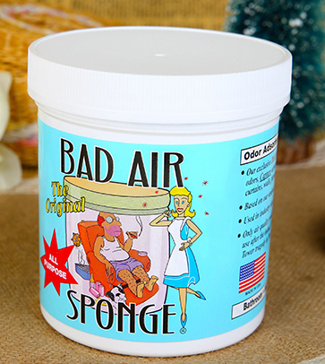 Bad Air Sponge有用嗎？Bad Air Sponge效果如何？