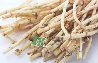 折耳根怎么清洗？折耳根如何冼才干凈