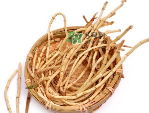折耳根有毒嗎？折耳根有毒吃了會(huì)傷腎？