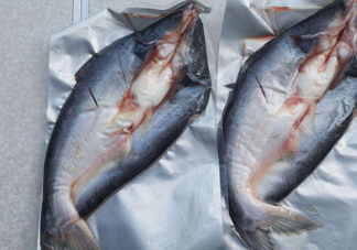 巴沙魚到底能不能吃？吃巴沙魚有什么危害嗎