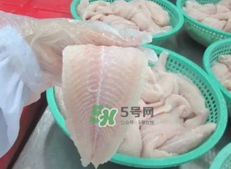 巴沙魚有刺嗎？巴沙魚有寄生蟲嗎