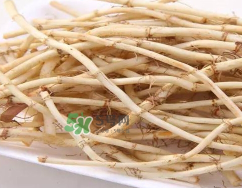 經(jīng)常吃折耳根有什么好處？折耳根的用法用量