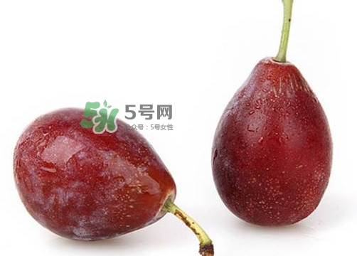 烏梅是西梅嗎？烏梅和西梅的區(qū)別
